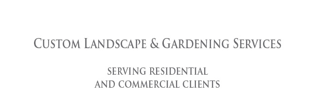 Custom Landscape & Gardening Services for Residential and Commercial Clients